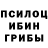 Псилоцибиновые грибы мухоморы Vladyaka 47