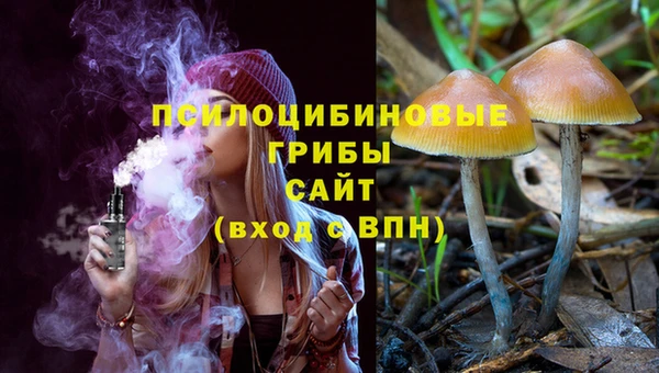 СК Богородицк