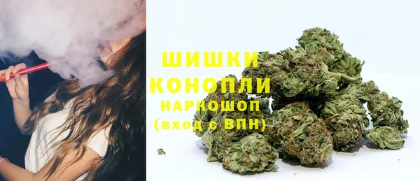 экстази Богданович