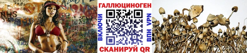 Галлюциногенные грибы Magic Shrooms  Купить  Миньяр 
