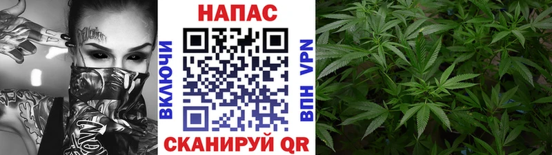 Купить  Миньяр  Бошки марихуана THC 21% 